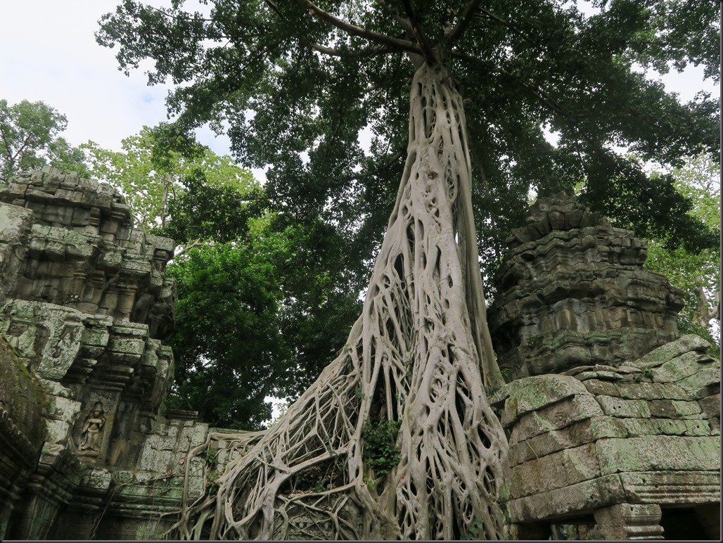 Ta Prohm