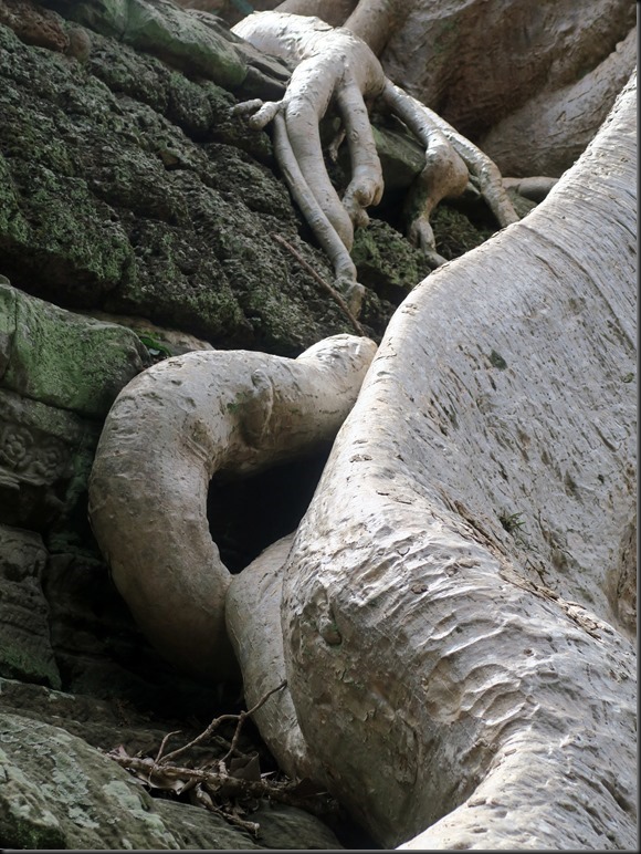 Ta Prohm