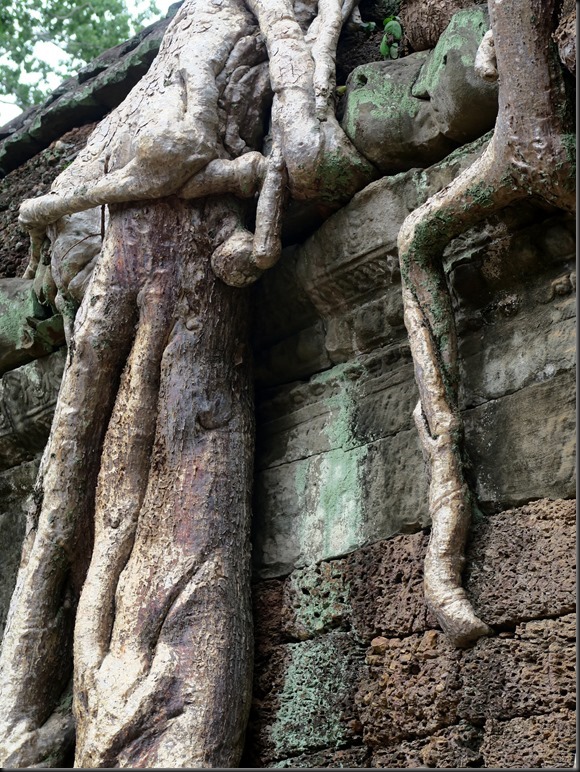 Ta Prohm