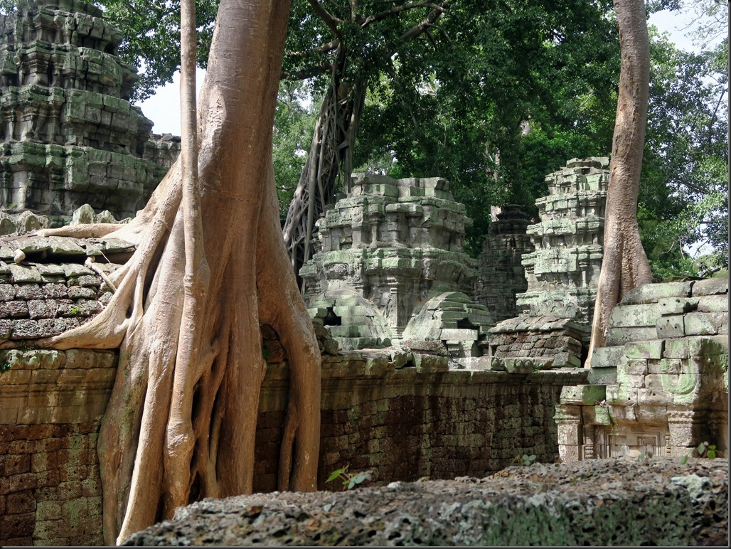 Ta Prohm