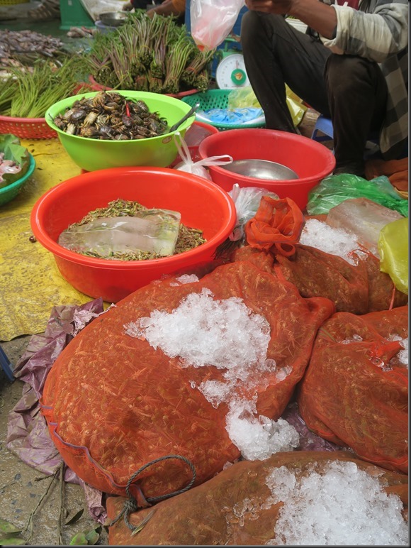 Sur le marché, des sauterelles
