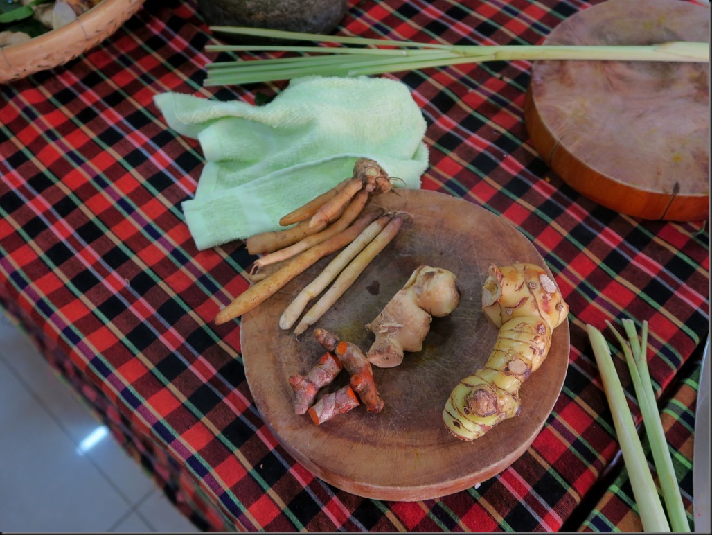 Les doigts racine, le gingembre, le galanga et le curcuma. A côté, la citronelle.