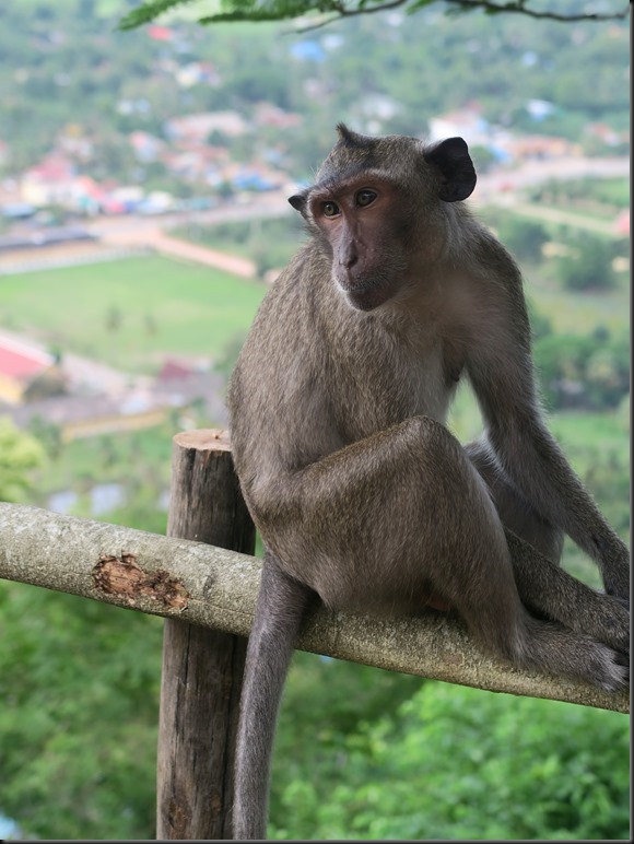 A Phnom Sampov